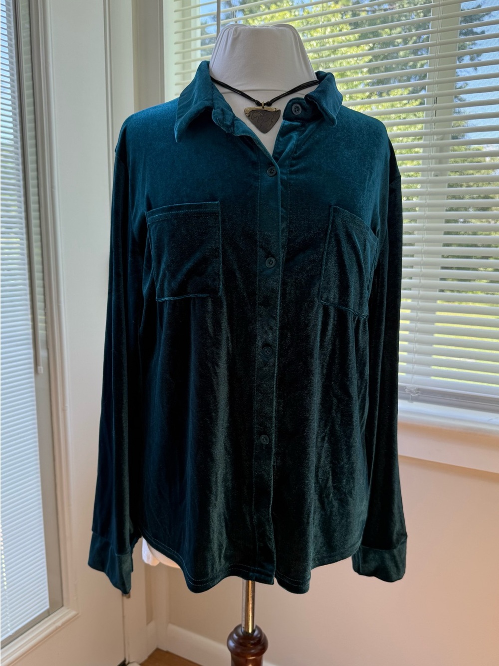 Velour Button-Up Shirt in Deep Teal
